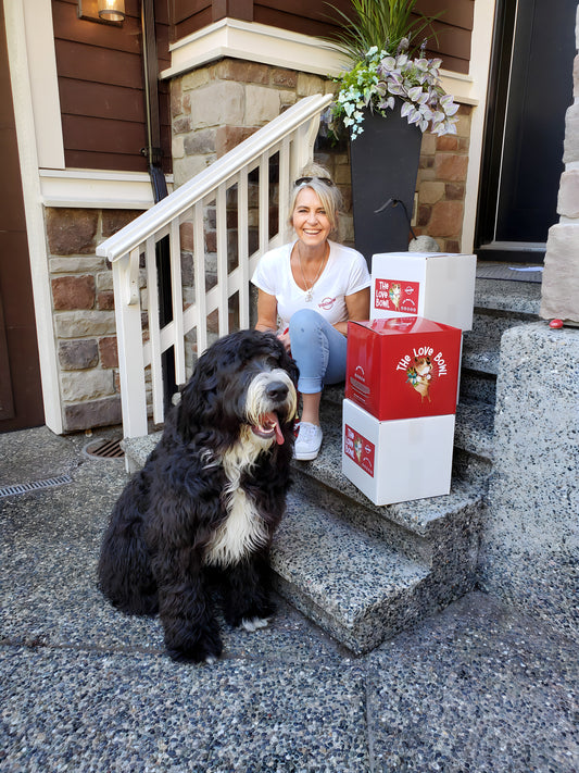 VIRCHEW: From Dream to Dinner