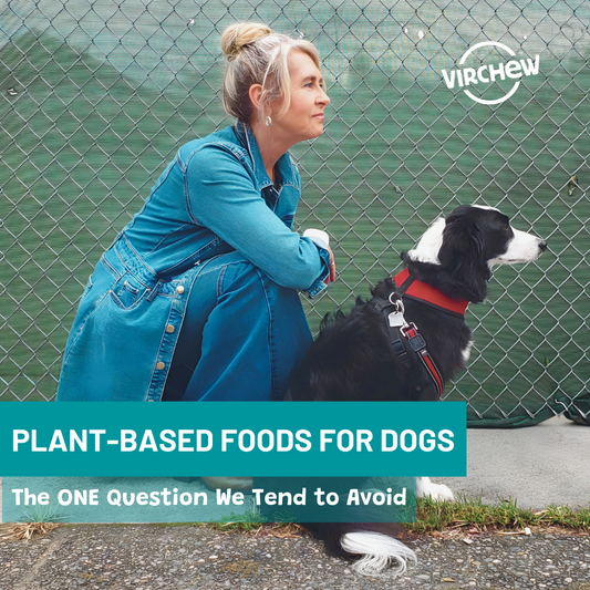 Plant-Based Diets for Dogs: The ONE Question.