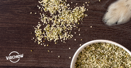 What's in a Virchew Bowl? Hemp!
