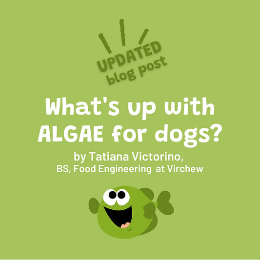 What's Up With Algae For Dogs?