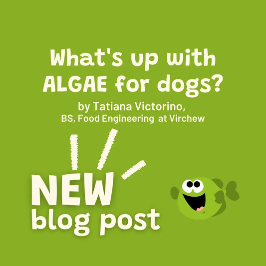 What's in a Virchew Bowl? Blog #1: Algae