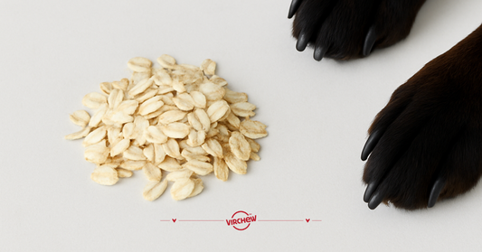 Bringing Back the G'OAT' of Grains!