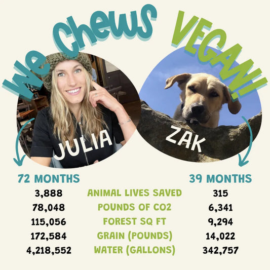 We Chews Vegan: Julia & Zak