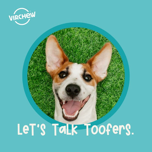 Let's Talk Toofers & Doggie Dental Facts (Part 1 of 2)