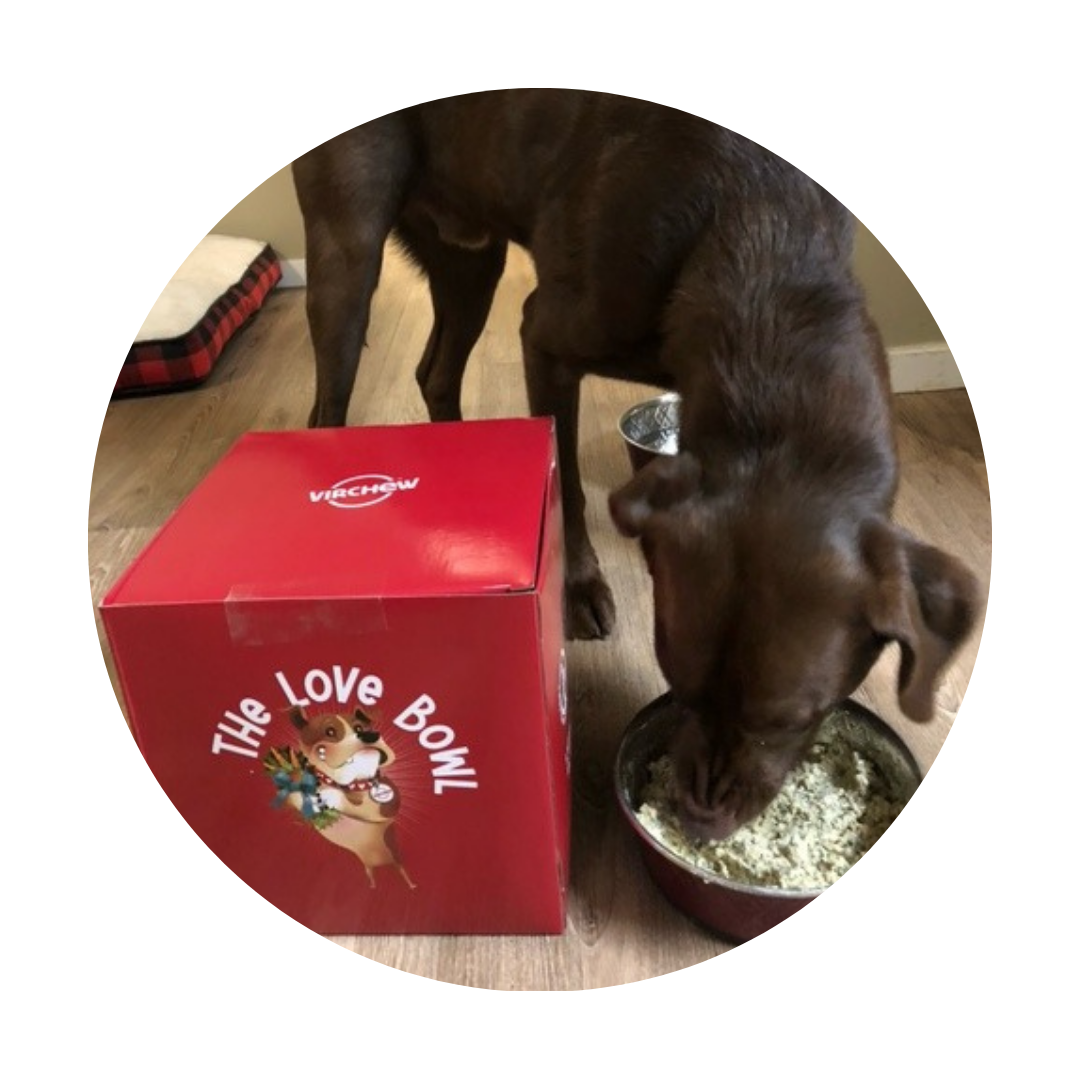 LOVE BOWL - 6 kg. (Med - Lrg Size Dogs)