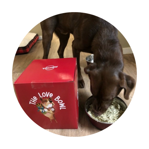 LOVE BOWL - 6 kg. (Med - Lrg Size Dogs)