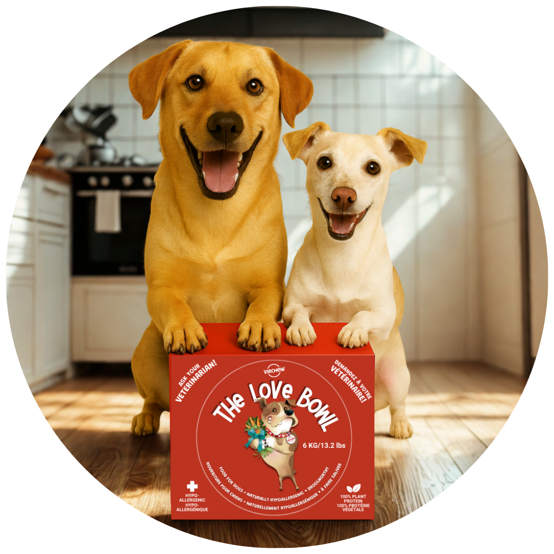 LOVE BOWL - 6 kg. (Med - Lrg Size Dogs)